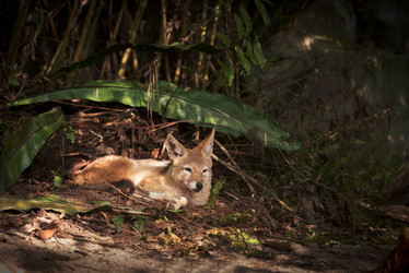 Similar image 1732275