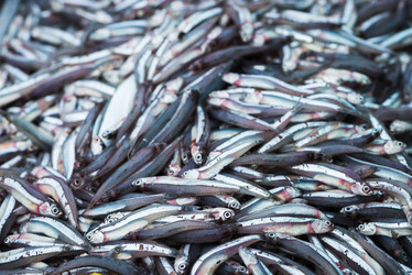 Similar image 1732282