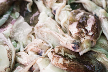 Similar image 1732283