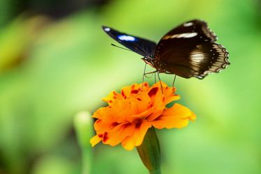 Similar image 1732289