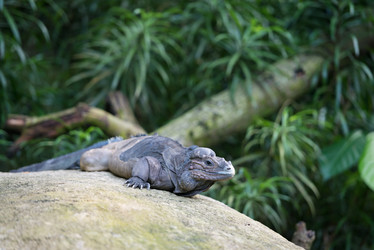 Similar image 1732291