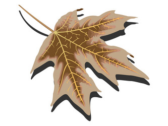 Similar image 1732338