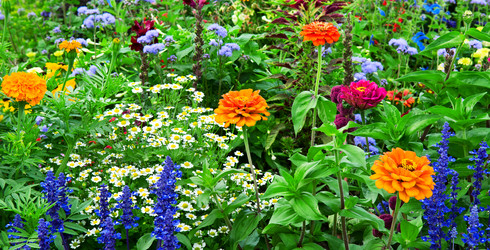 Similar image 1732418