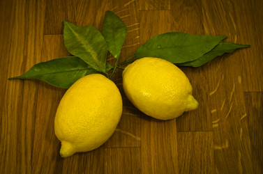 Similar image 1732419