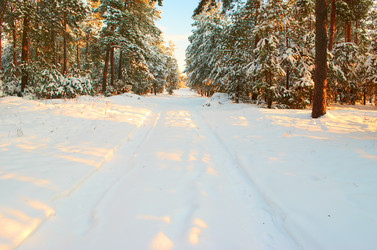 Similar image 1732426