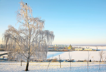 Similar image 1732447