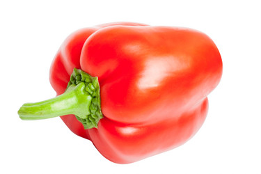 Similar image 1732475