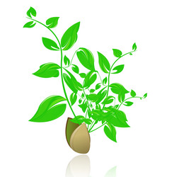 Similar image 1732488