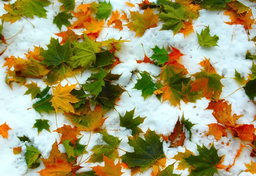 Similar image 1732549