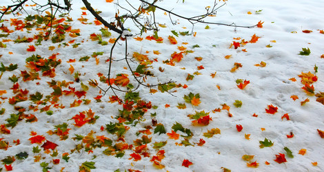 Similar image 1732550