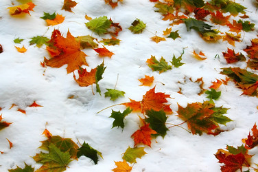 Similar image 1732551