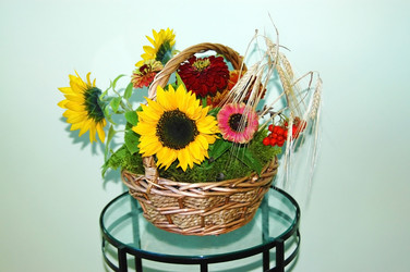 Similar image 1732559