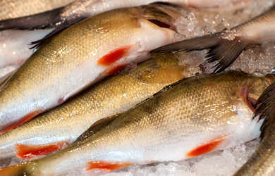 Similar image 1732565