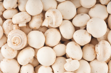 Similar image 1732648