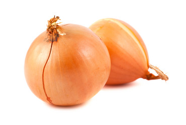 Similar image 1732743