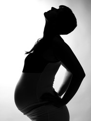 Similar image 1732772