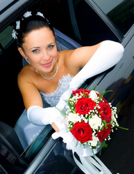 Similar image 1732822