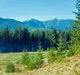 Similar image 1732880