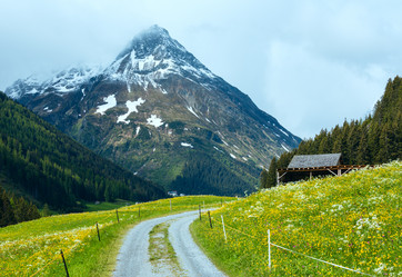 Similar image 1732887