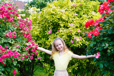 Similar image 1732898