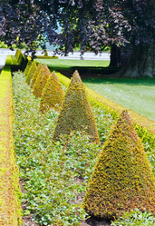 Similar image 1732903