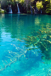 Similar image 1732936