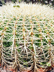 Similar image 1732939