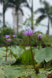 Similar image 1732978