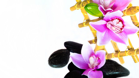 Similar image 1733001