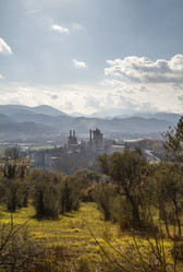 Similar image 1733049