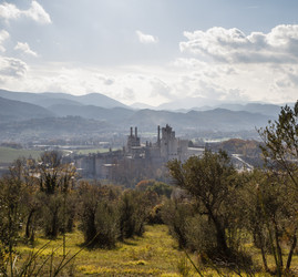 Similar image 1733065