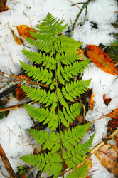 Similar image 1733103