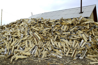 Similar image 1733115