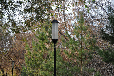 Similar image 1733169