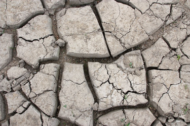 Similar image 1733188