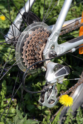 Similar image 1733191