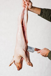 Similar image 1733199