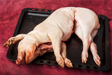 Similar image 1733208