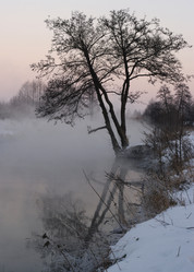 Similar image 1733268