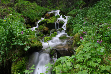 Similar image 1733282