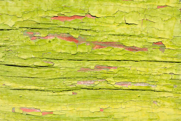 Similar image 1733289