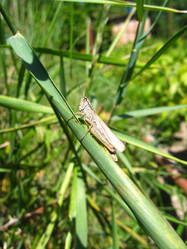 Similar image 1733339