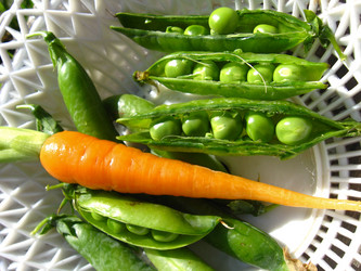 Similar image 1733340