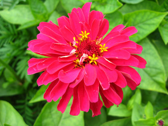 Similar image 1733341