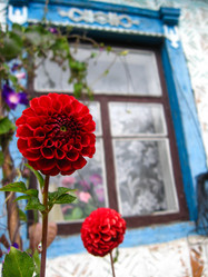 Similar image 1733342