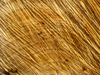 Similar image 1733344