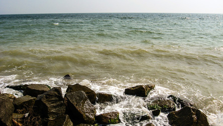 Similar image 1733346