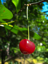 Similar image 1733348