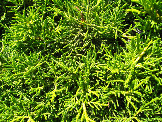 Similar image 1733354