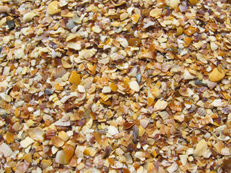 Similar image 1733360